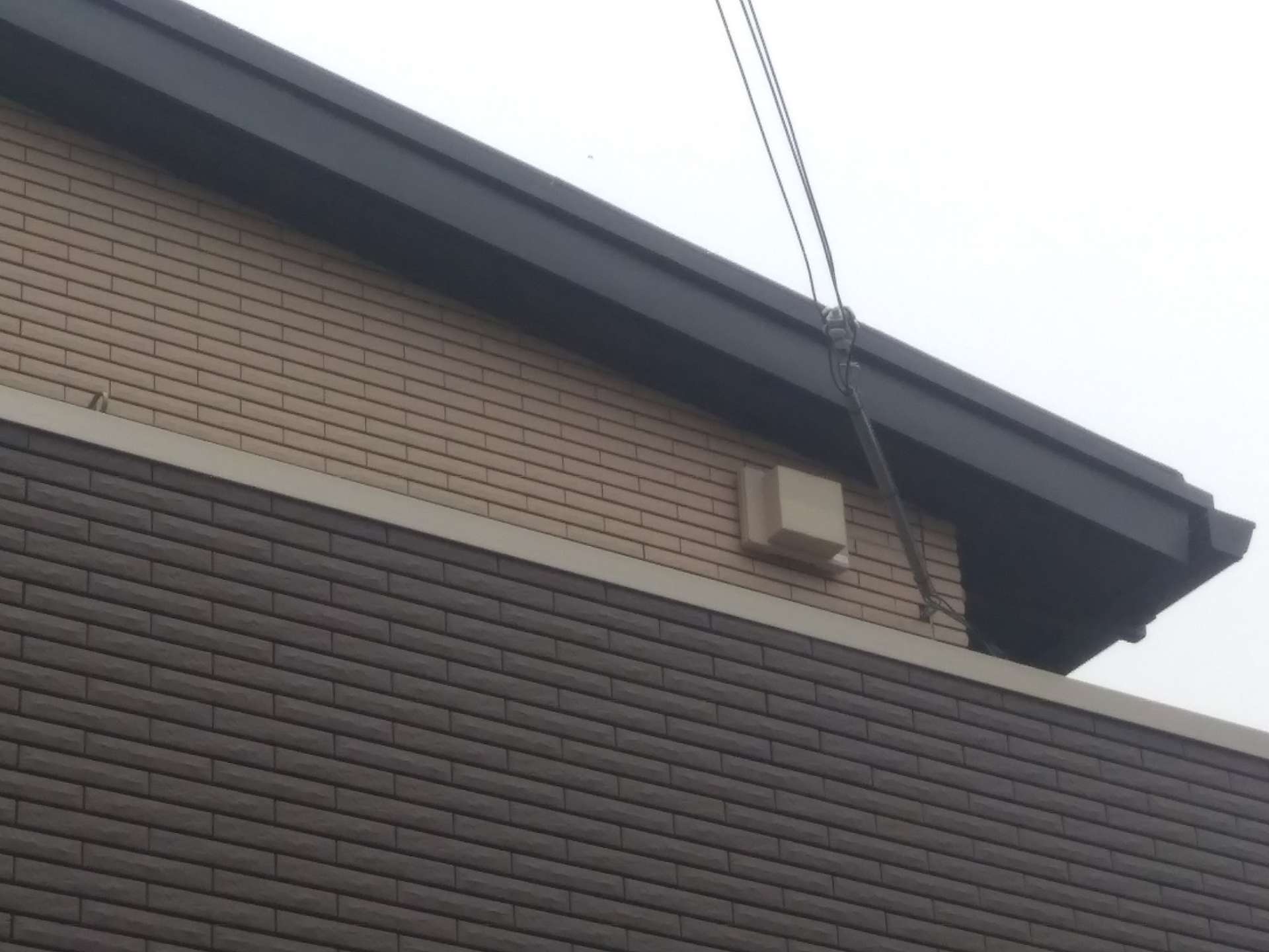 彩アンテナ